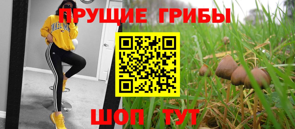 Галлюциногенные грибы мухоморы Невинномысск